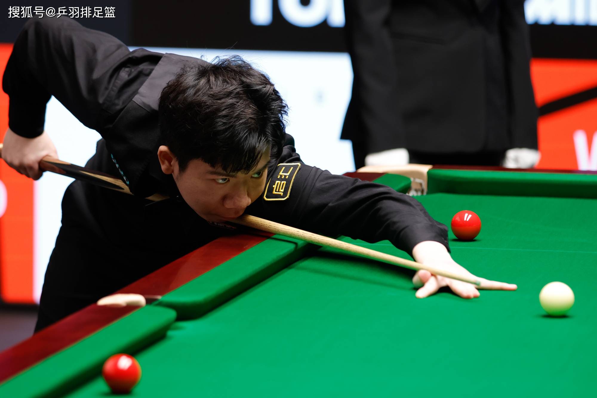 他们不仅为 他们不仅为