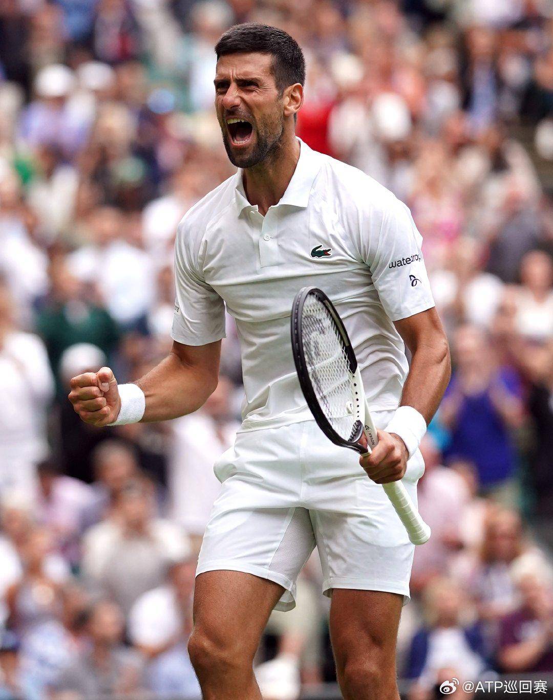 高度关注 高度关注